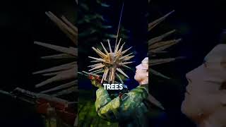 इतिहास का सबसे भयानक जाल 😨 | Vietnam War Punji Trap | Scariest Trap Ever"#shortsfeed #shorts #facts