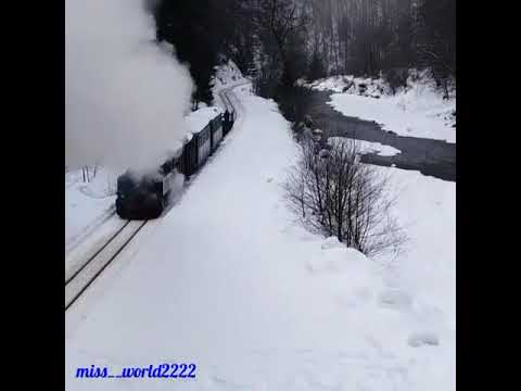 اغنية ياحبيبي انا عصفورة الساحة