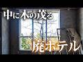 中に木々の茂る廃ホテル【野生馬の岬のシーサイドホテル】