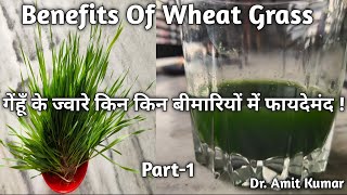 Benefits Of Wheat Grass |गेंहूँ के ज्वारे किन किन बीमारियों में फायदेमंद ! Part-1 screenshot 5