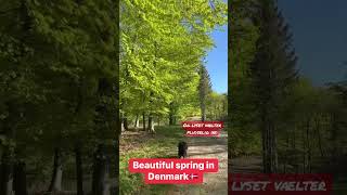 Spring in Denmark 2023 #denmark #spring #forår