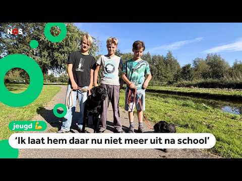 Children on the dogs that died in Schiedam: 'I find it very scary'