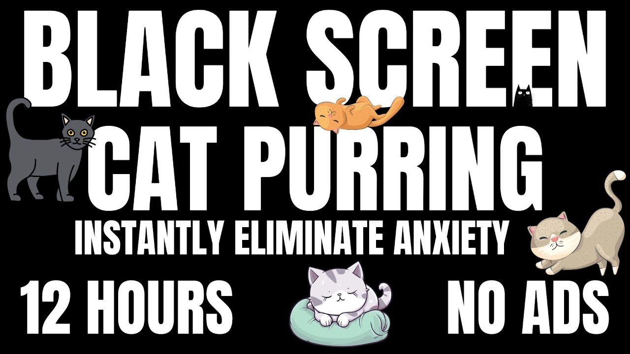 12 HOURS | BLACK SCREEN | CAT PURRING | DEEP SLEEP | NO ADS | INSTANTLY ELIMINATE ANXIETY 😴🐈‍⬛ ASMR