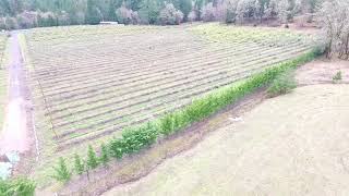 F Property 03 07 2019
