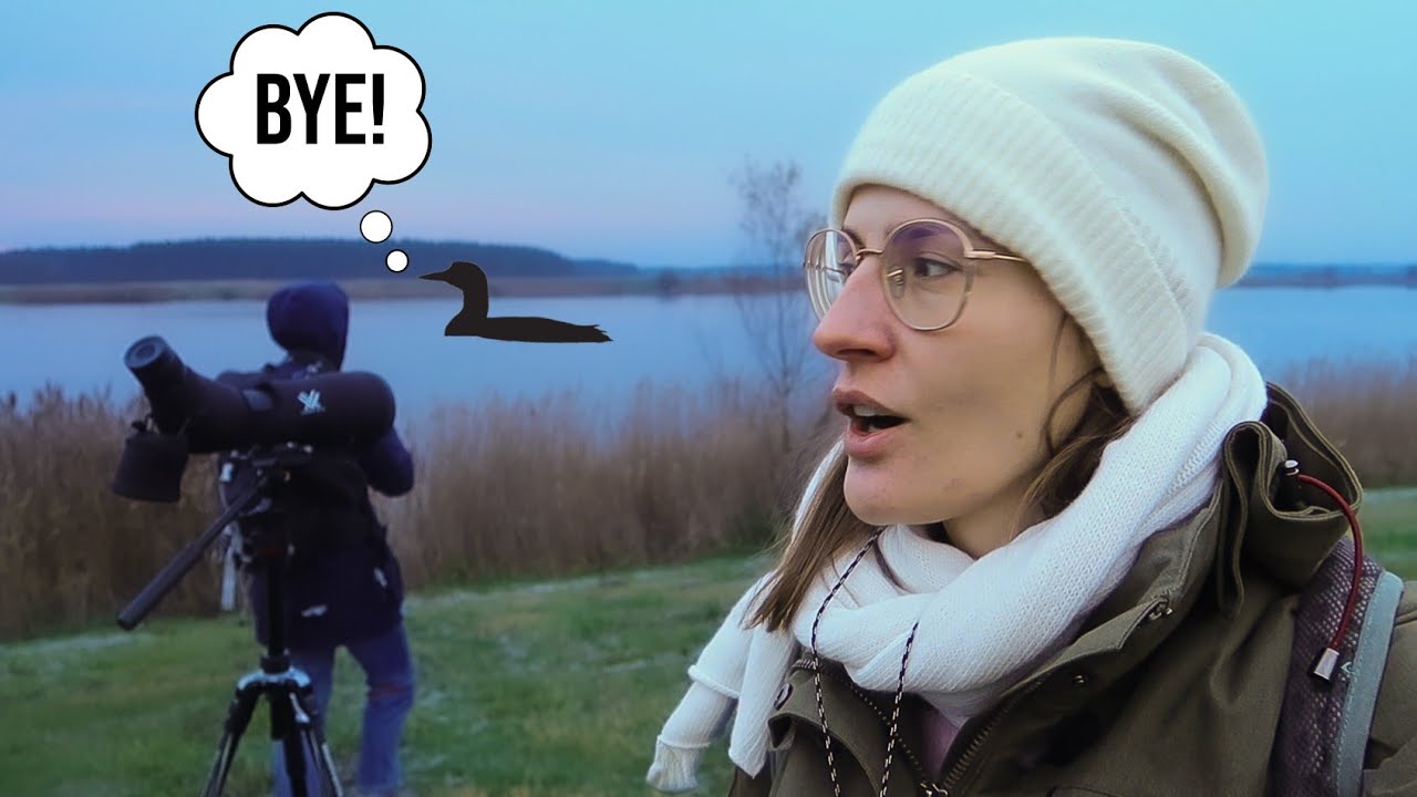 Nur nam prawie uciekł - birdwatching VLOG - zimowa wyprawa o 6 rano