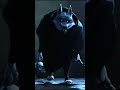 morte Lobo
