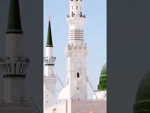 أولاد البرعي الأوائل الضحوي