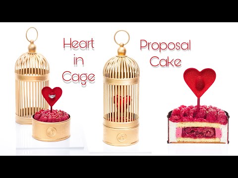 Heart in cage Proposal cake!