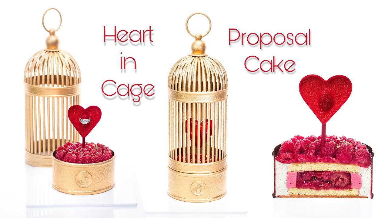 Heart in cage Proposal cake!