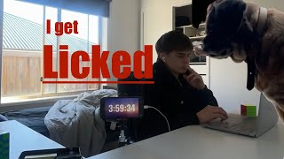 4 hours to build software (with no experience) or my dog licks Nutella off my face! screenshot 5