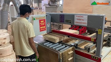 WOODMASTER. MÁY CƯA LỌNG CNC MŨI ROUTER lọng chi tiết cong siêu đẹp | WM-B1200R