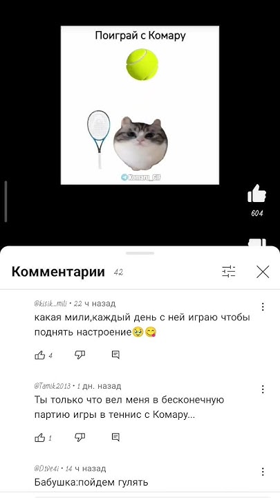 поиграй с комару #мем #кошка #милота #юмор #komaru #кот - YouTube