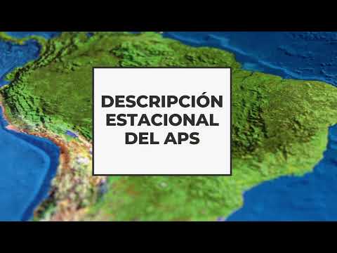 ANTICICLÓN DEL PACÍFICO SUR (APS) - ANTICICLÓN DEL ATLÁNTICO SUR (AAS)