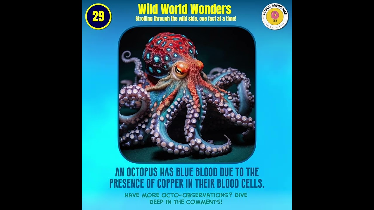 #29 Wild World Wonders - Strolling through the wild side, one fact at a time