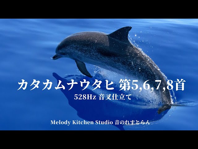 カタカムナウタ　響の力で強運をつかむ 81gN7bGEOfL._UF894,1000_QL80_.jpg
