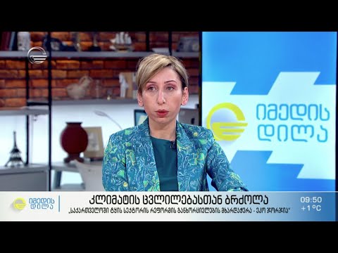 ნათია იორდანიშვილი საქართველოში ტყის სექტორის მასშტაბური რეფორმების შესახებ