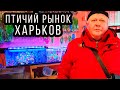 Птичий Рынок в Харькове во время военных действий! 16 апреля 2022!