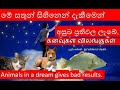 Dreams ස හ න கனவ கல ම සත න ස හ න න ද ක ම හ ඳය ද උප ට ගත තක