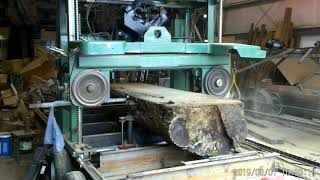 Homemade sawmill cutting large Hackberry log 2019 March 1