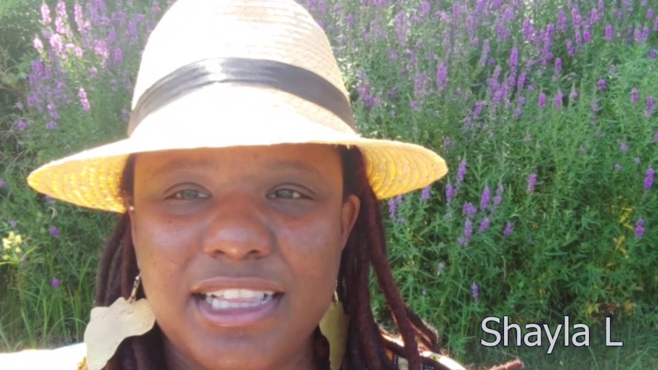 YouthConnect: Social Justice and Social Work Cannot Be Separated