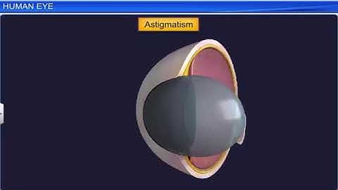 CBSE Class 12 Physics  Ray Optics and Optical Instruments Part  2  Full Chapter  By Shiksha360p