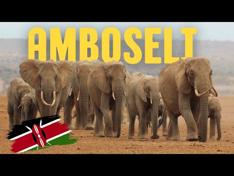 Video: Amboseli National Park, Kenya: fotos, historie, funktioner