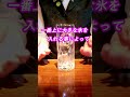 一流バーテンダーが教える!激ウマ!コークハイ! #カクテル #ウイスキー #コーラ