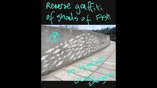 Art for #ecocide Law_How to guide making reverse graffiti templates from plastic sheets & drink cans