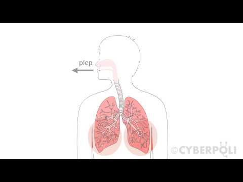 Video: Waar is piepende ademhaling?