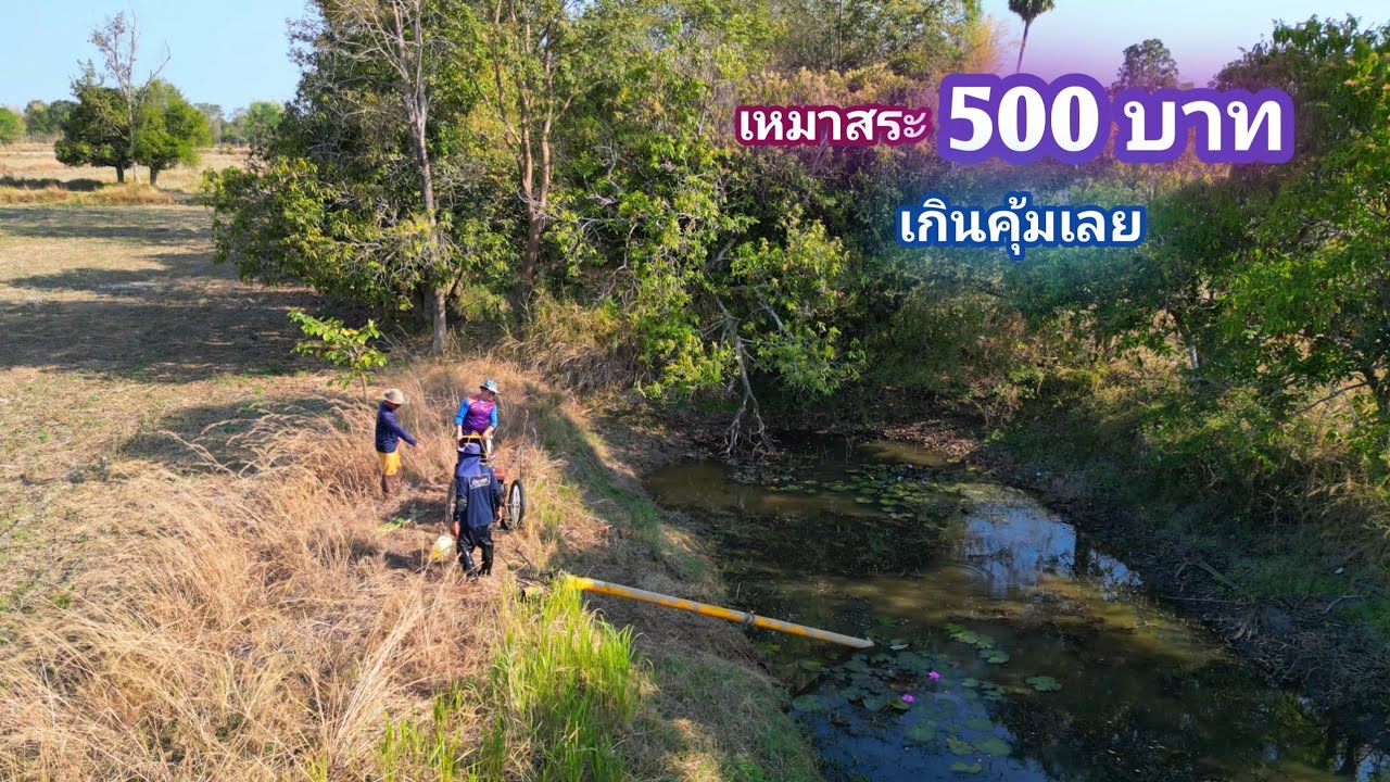 เหมาสระ 500 บาท นึกว่าไม่มีอะไรมาก เเต่เกินคุ้มเลยสระนี้ / บ้านนอก EP.1,003