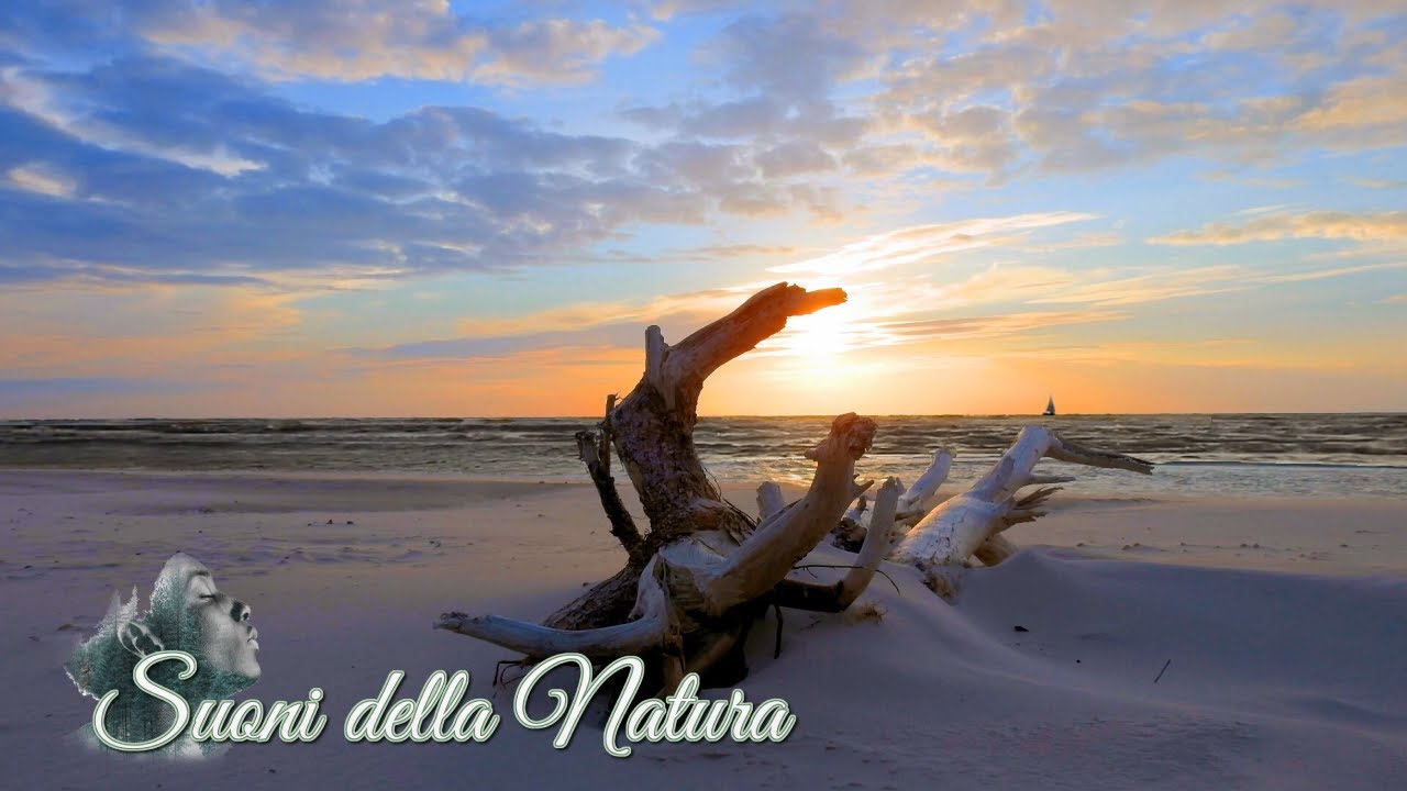 Rumore rilassante del mare, atmosfera di pace per rilassare la mente ...
