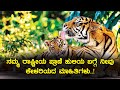 Interesting facts about tigers  inspire kannada official