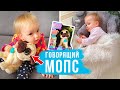 НАША НОВАЯ ИГРУШКА МОПС и КАК ДИАНА ЛОЖИТСЯ СПАТЬ Vlog#61 NastinDay