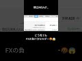 FXと新つみたてNISA 新NISA で資産形成する考え方や戦略について徹底解説してみた
