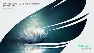 Dmitriy Kuznetsov & Misha Vorobjev - Its Too Late (Extended Mix) [Trancer Recordings] *Out Now*