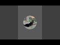 Jackythegermanshepherd is live
