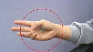 Simple Hand Gesture Recognition