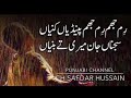 رم جھم رم جھم پنیڑیاں کنیاں سجناں جان میری تے بنیاں رم جھم رم جھم پنیڑیاں کنیاں سجناں جان میری تے بنیاں