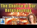 The Chalice of our Relationships | Celestial White Beings via Natalie Glasson