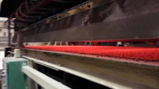 Torrified Wheat @ Micronized Food Products