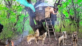 A terrifying night😨with a pack of wolves deep in the forest/ Building a hanging tree shelter/ Elon💙👍