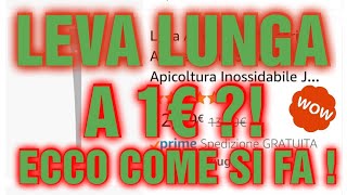 Apicoltura Cd Leva Da Apicoltore A Meno Di Un Euro Video Bonus