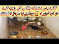 Agar Murgi Ka Beeth Hara, Peela Ya Safed Ho To Kya Karein? Top Medicine | Poultry Farming Tip