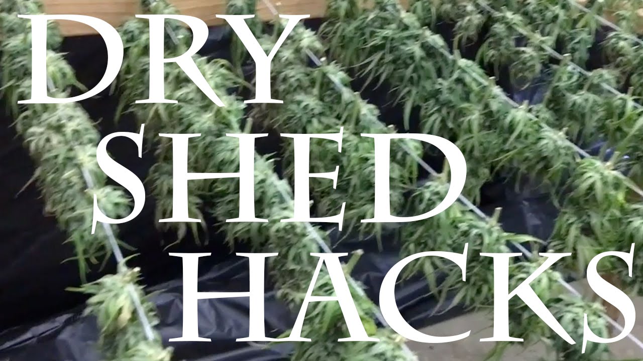 How to Slow Down or Speed up Your Dry Time Without Technology