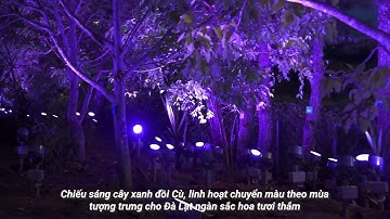 Chiếu sáng cảnh quan Rạng Đông  tại Hồ Xuân Hương Đà Lạt - Hoa thêu trên gấm