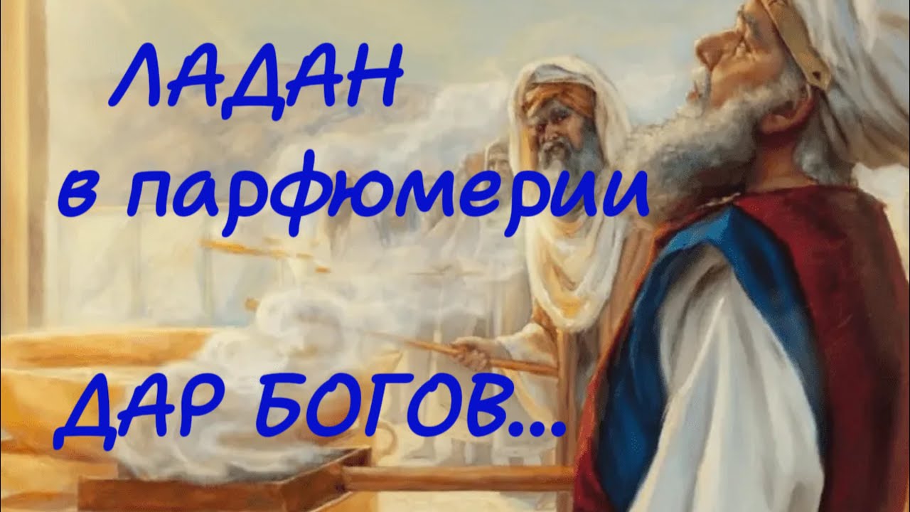 Лучшие АРОМАТЫ С ЛАДАНОМ. Моя парфюмерная подборка: Sabil Nocturne Orens, Nicolai Incense Oud