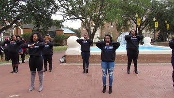 Zeta Phi Beta Sorority, Inc. The Lambda Theta Chapter Yard Show