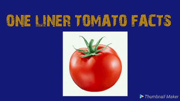 Tomato horticulture for jrf srf phd net jet and pat/ टमाटर