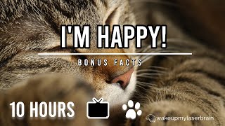 The Best Cat Purr Sound |  Black Screen |  10 Hours | Relieve Anxiety, Stress | ASMR | Bonus Facts