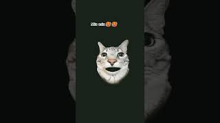 Miu Miu with try meme 😱😱 #shorts #filter #funny #comedy #fypシ゚viral